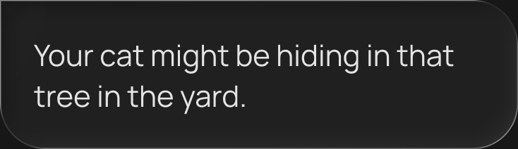 Your cat might be hiding in that tree in the yard.