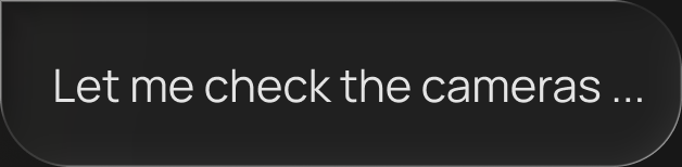 Let me check the cameras ...